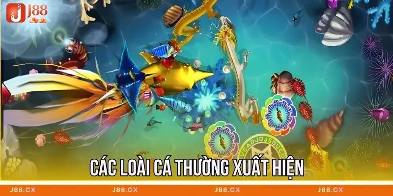 cac-loai-ca-thuong-xuat-hien