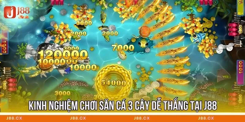 kinh-nghiem-choi-san-ca-3-cay-de-thang-tai-j88